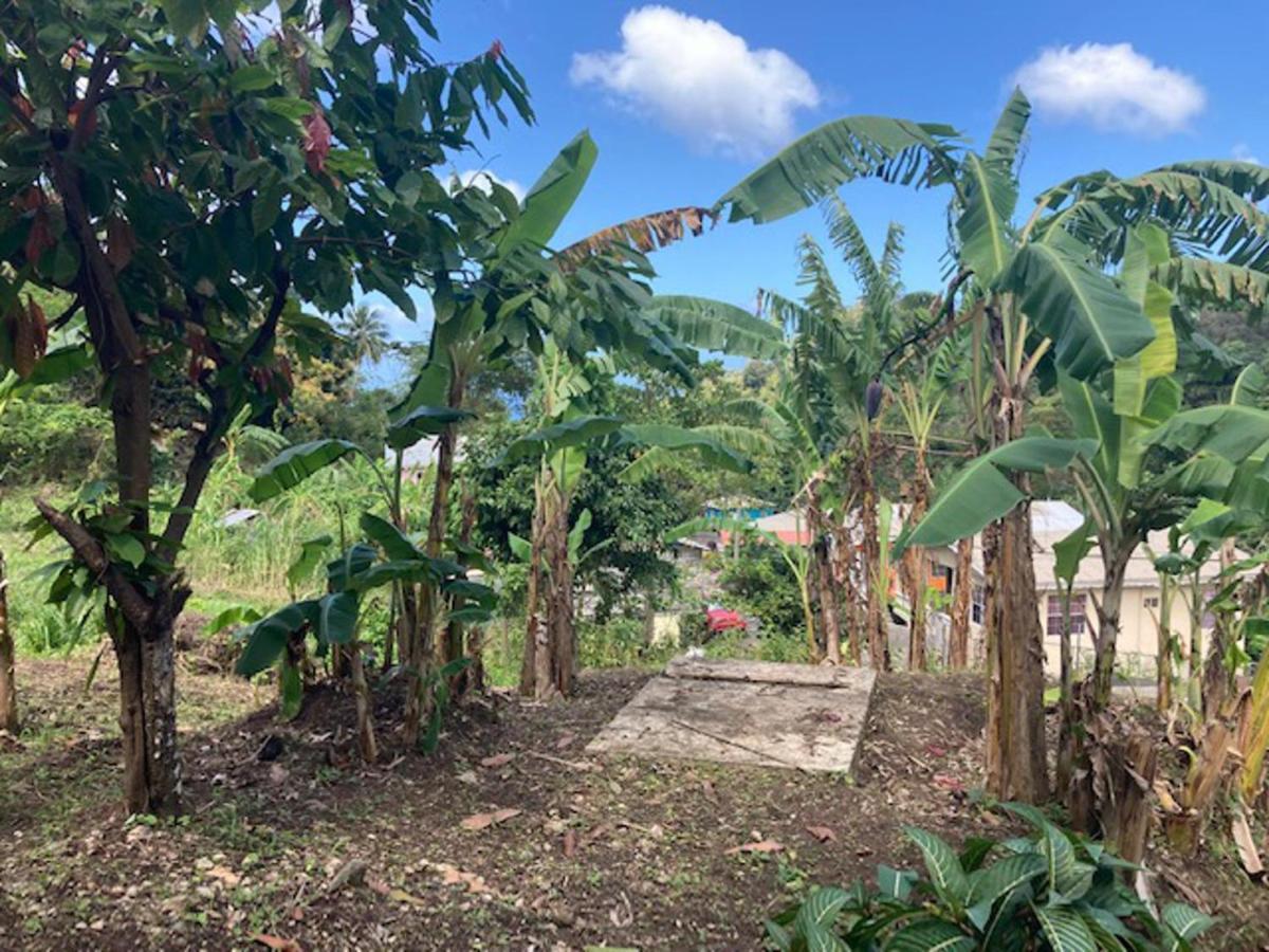 Stunning 2-Bed Apartment In Grand Roy Grenada Mount Nesbit Eksteriør billede