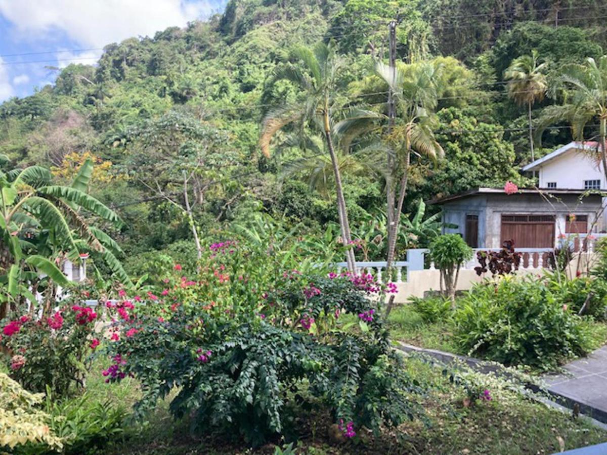 Stunning 2-Bed Apartment In Grand Roy Grenada Mount Nesbit Eksteriør billede